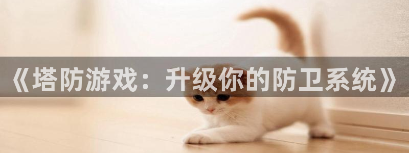 小艾电竞计划
