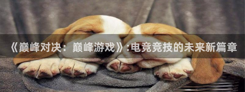 小艾电竞
