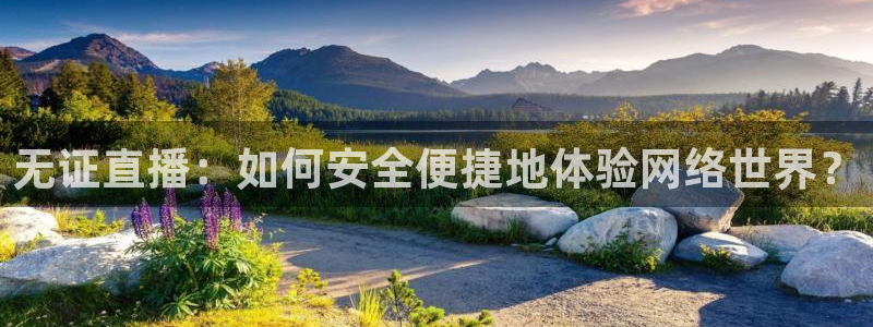 9255tv直播nba在线观看：无证直播：如何安全便捷地体验网络世界？