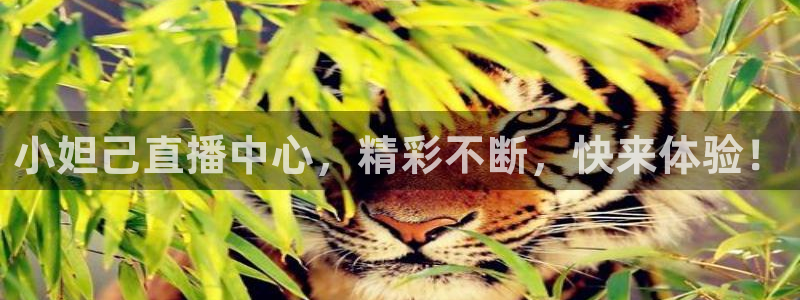 9255tv直播无插件nba：小妲己直播中心，精彩不断，快来体验！