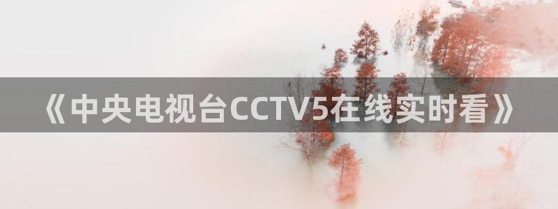 9255tv直播无插件nba：《中央电视台CCTV5在线实时看》
