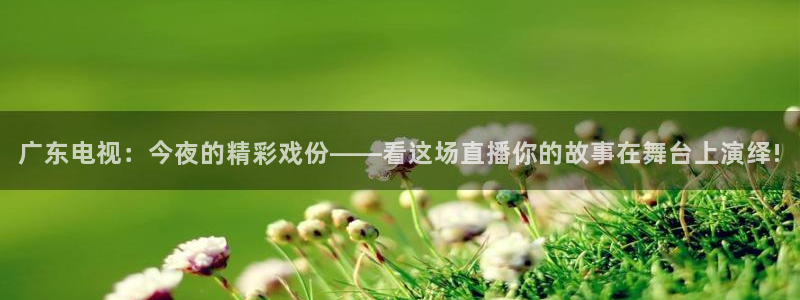 9255tv直播nba在线观看：广东电视：今夜的精彩戏份——看这场直播你的故事在舞台上演绎!